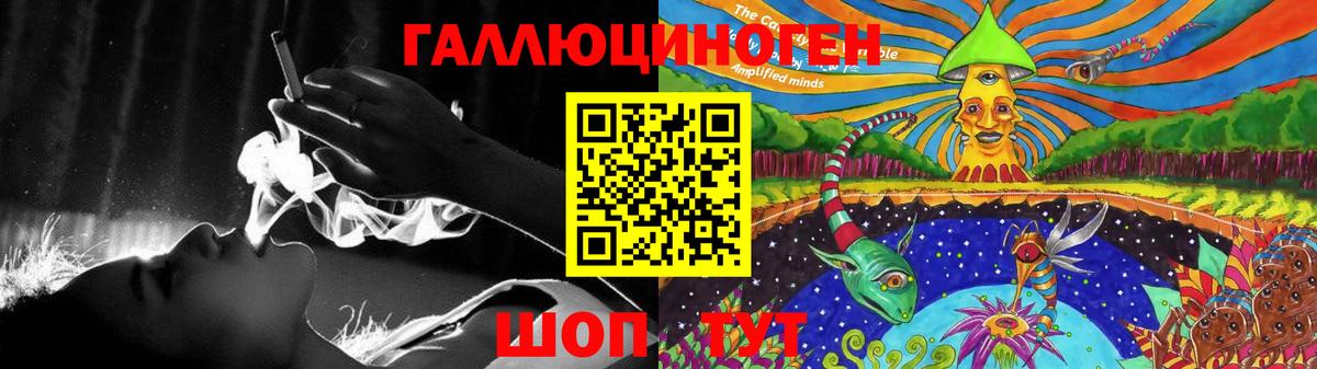 Псилоцибиновые грибы Cubensis Городец